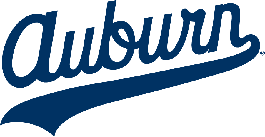 Auburn Tigers 1985-1994 Wordmark Logo diy iron on heat transfer
